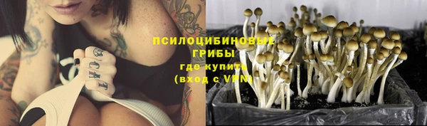 бутират Зеленодольск